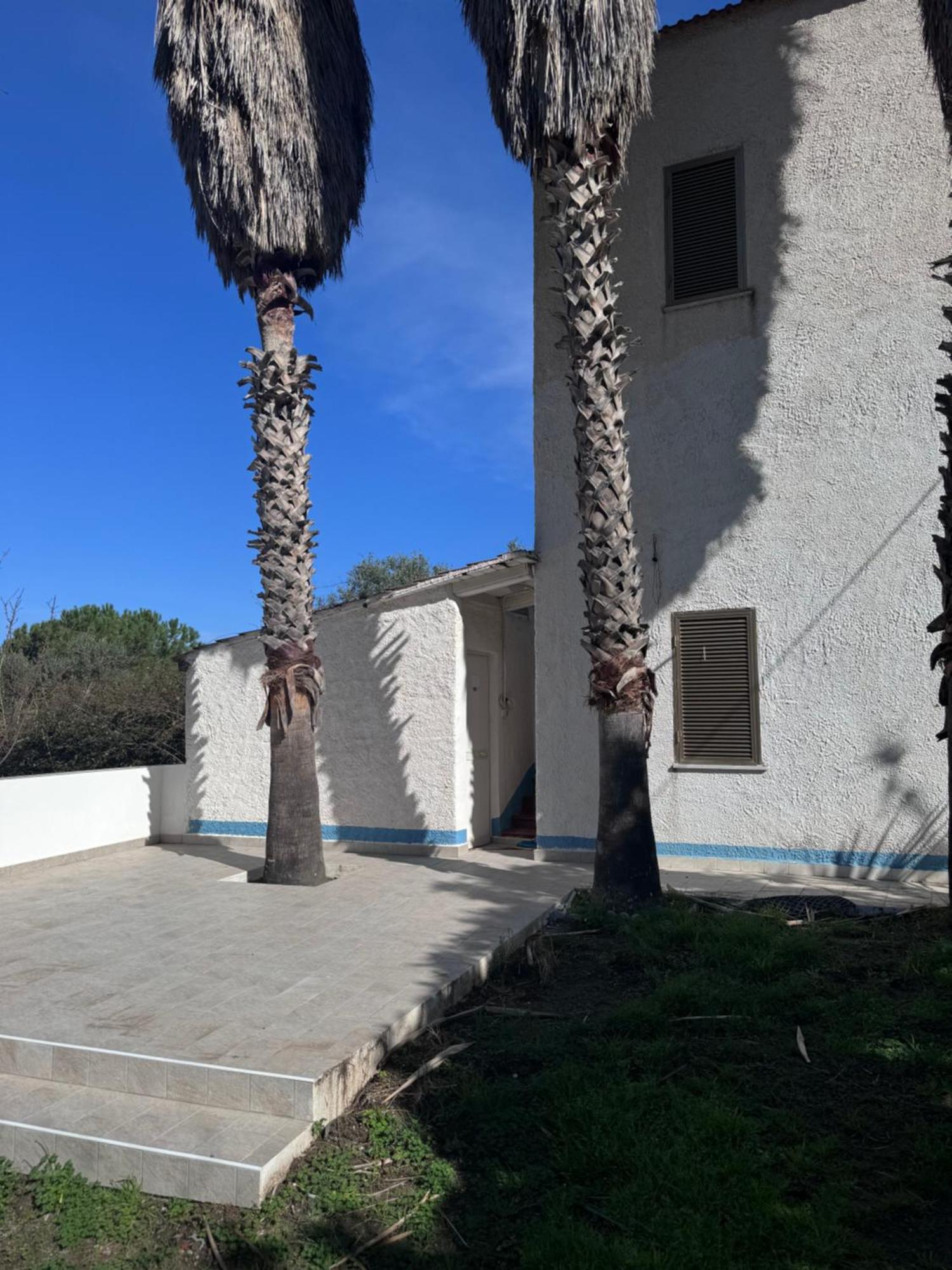 Villaggio Camping La Scogliera Ricadi Exteriér fotografie