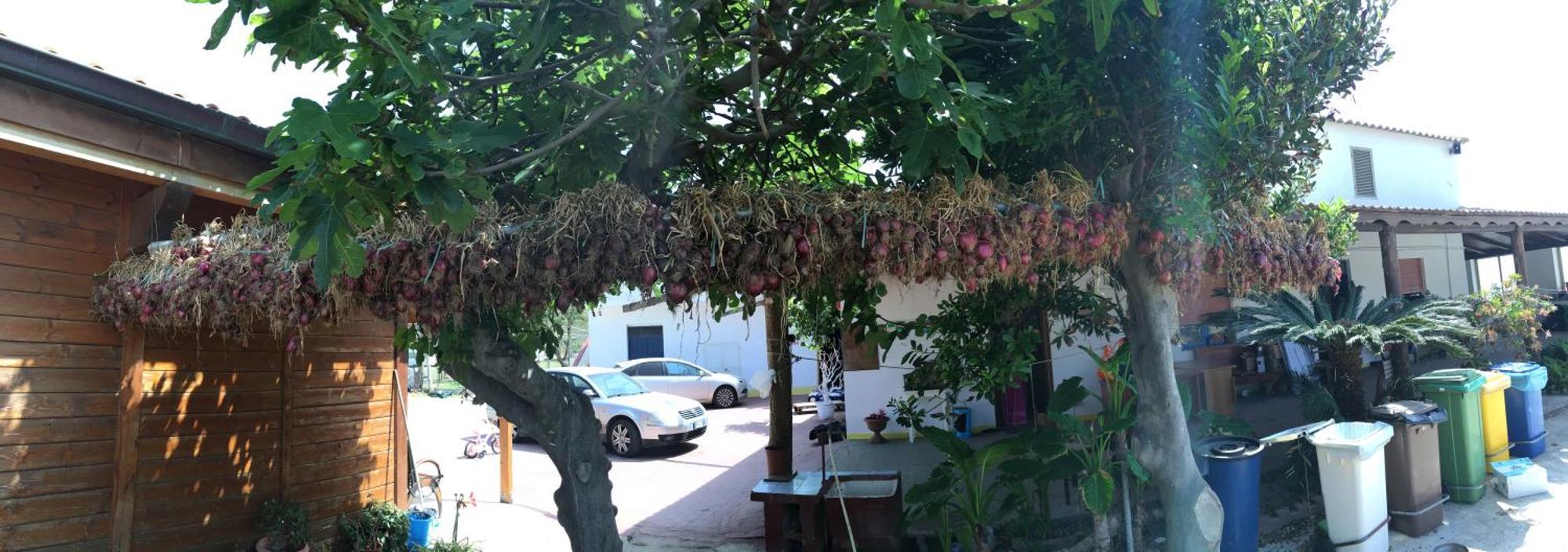 Villaggio Camping La Scogliera Ricadi Exteriér fotografie